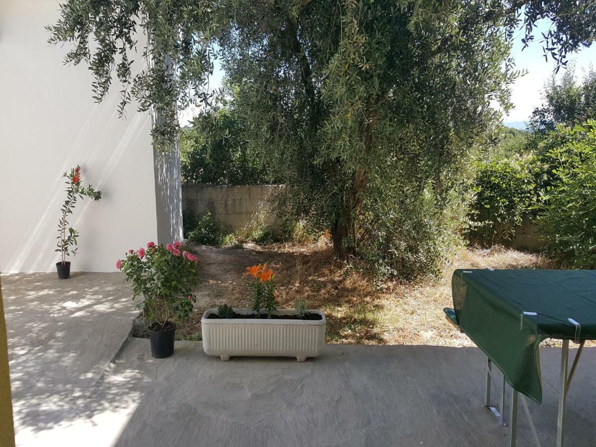 Apartment Silvija Ližnjan Dış mekan fotoğraf